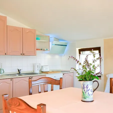 Appartement With Parking Space - 25360 Rovinj